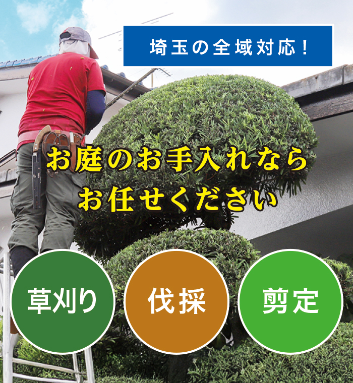 草刈り、伐採、剪定、お庭のお手入れならお任せください